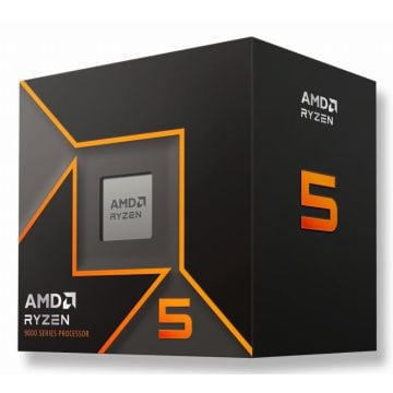 AMD Ryzen 5 9600 Boxed